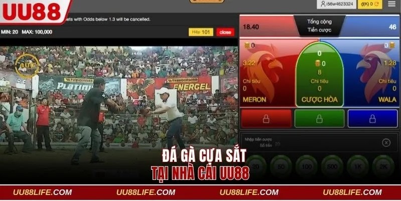 Tổng quan về đá gà cựa sắt UU88